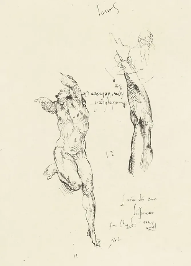 Boutiques de musées Estampe Étude d'homme nu et étude de bras - Michel-Ange Hot