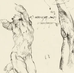 Boutiques de musées Estampe Étude d'homme nu et étude de bras - Michel-Ange Hot
