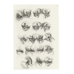 Nature, Fleurs Et Paysages<Boutiques de musées Estampe Yeux de tigre, de loup-cervier et de chat