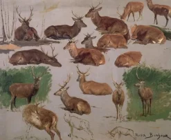 Affiches D'Art|Toiles Encadrées<Boutiques de musées Etude de cerf ; 19 esquisses (affiches d'art)