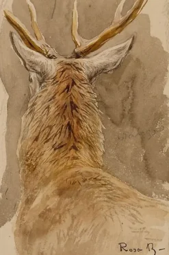 Toiles Sur Châssis<Boutiques de musées Etude de cerf (toiles sur châssis)