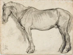Panneaux Aluminium|Toiles Encadrées<Boutiques de musées Etude de cheval (panneaux aluminium)