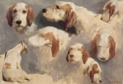 Boutiques de musées Etude de chien de chasse ; 8 esquisses (toiles sans cadre) Discount