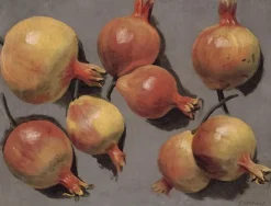Boutiques de musées Etude de grenades (toiles sur châssis) Sale