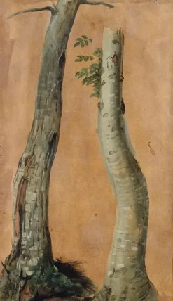 Boutiques de musées Etude de troncs d'arbres (panneaux acryliques) New