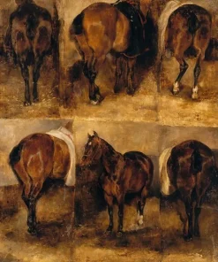 Toiles Sur Châssis|Panneaux Aluminium<Boutiques de musées Etudes de chevaux (toiles sur châssis)