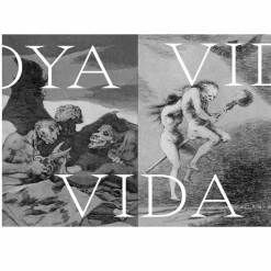 Boutiques de musées Expérience Goya - Catalogue d'exposition
