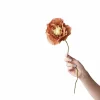 Boutiques de musées Fleur en papier Coquelicot - Ocre foncé Sale