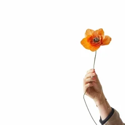 Boutiques de musées Fleur en papier Coquelicot - Orange Clearance