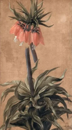 Boutiques de musées Fritillaire (toiles sans cadre) New
