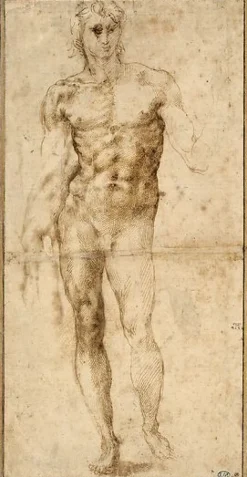 Boutiques de musées Homme nu, vu de face (toiles encadrées) New