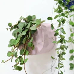 Design|Art De La Maison<Boutiques de musées Jardinière en porcelaine Lilas