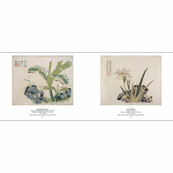 Catalogues D'Exposition<Boutiques de musées Jardins d'Asie - Catalogue d'exposition