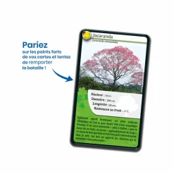 Jeux<Boutiques de musées Jeu de cartes Défis nature - Arbres du monde - Bioviva