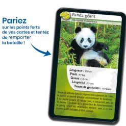 Boutiques de musées Jeu de cartes Défis nature - Asie - Bioviva Outlet