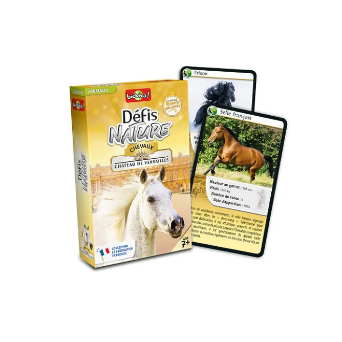 Boutiques de musées Jeu de cartes Défis Nature - Chevaux Château de Versailles Sale