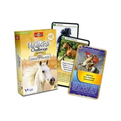 Jeux<Boutiques de musées Jeu de cartes Défis Nature - Chevaux Château de Versailles GB