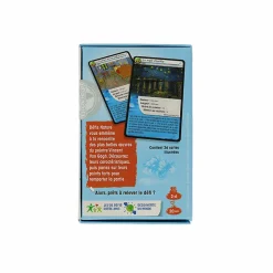 Boutiques de musées Jeu de cartes Défis Nature - Van Gogh - Bioviva New