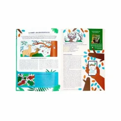 Boutiques de musées Kit collector 8-12 ans La forêt - Pandacraft Sale
