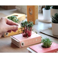 Loisirs Créatifs<Boutiques de musées Kit de culture Scrollino Sprouts - Radis
