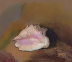 Boutiques de musées La Coquille : en bas à droite, petit coquillage, dans l'ombre (panneaux aluminium) Discount