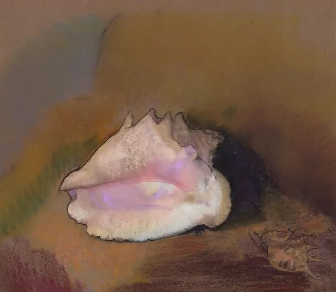 Boutiques de musées La Coquille : en bas à droite, petit coquillage, dans l'ombre (panneaux aluminium) Discount