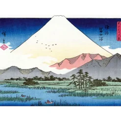 Boutiques de musées La Montagne par les grands maîtres de l'estampe japonaise (Coffret) Best