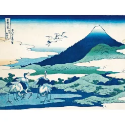 Boutiques de musées La Montagne par les grands maîtres de l'estampe japonaise (Coffret) Best