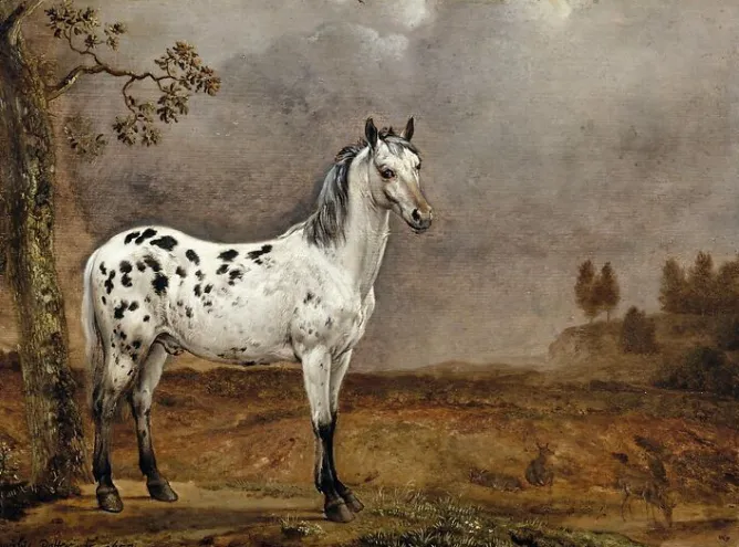 Boutiques de musées Le Cheval pie (affiches d'art encadrées) Outlet