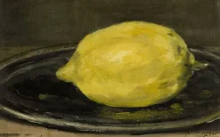 Boutiques de musées Le Citron (panneaux acryliques) Outlet
