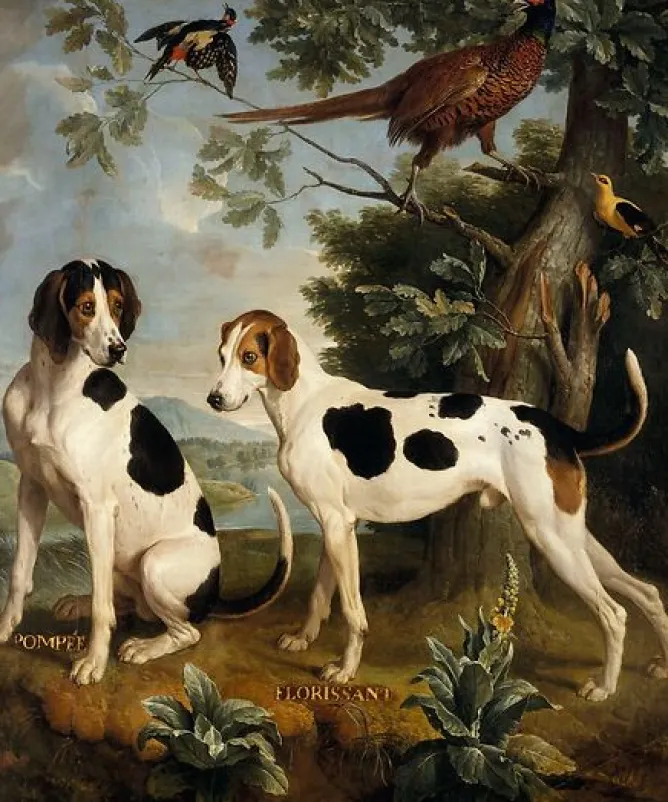 Panneaux Aluminium|Panneaux Acryliques<Boutiques de musées Les Chiens Pompée et Florissant (panneaux aluminium)
