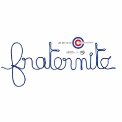 Design<Boutiques de musées Les mots du Conseil constitutionnel - Fraternité Bleu