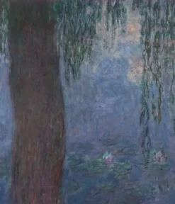 Toiles Encadrées|Affiches D'Art Encadrées<Boutiques de musées Les Nymphéas : Le Matin aux Saules (toiles encadrées)