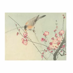 Livres D'Art<Boutiques de musées Les oiseaux par les grands maîtres de l'estampe japonaise