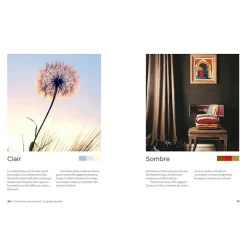 Livres D'Art<Boutiques de musées L'harmonie des couleurs : Le guide complet