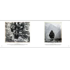 Boutiques de musées L'Inde au miroir des photographes - Catalogue d'exposition New