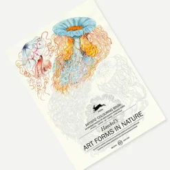 Loisirs Créatifs<Boutiques de musées Livret de coloriage pour enfants et adultes Art de la nature Haeckel - The Pepin Press