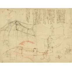 Boutiques de musées Léonard de Vinci, la nature et l'invention Online
