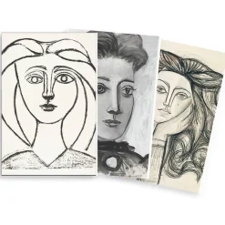 Boutiques de musées Lot 3 carnets Picasso Dessins Best