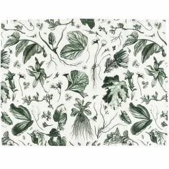 Boutiques de musées Lot de 2 sets de table L'Herbier du Roi Vert - 38x50 cm Clearance