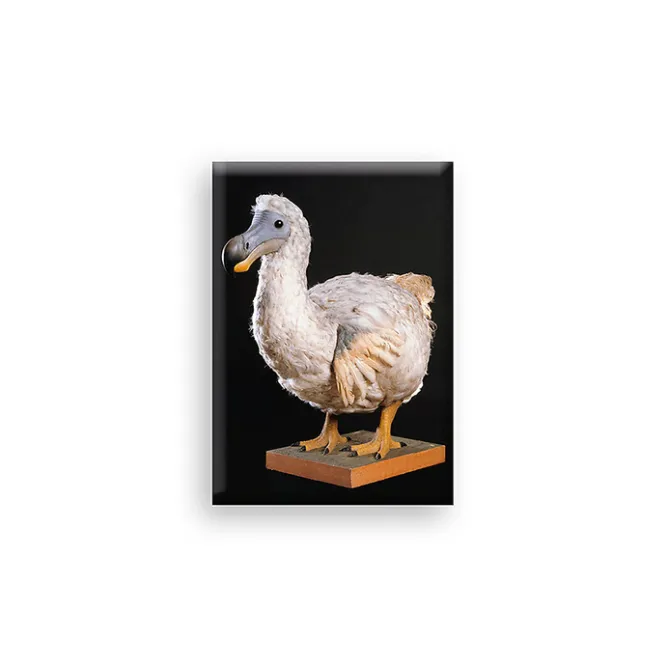 Boutiques de musées Magnet - Dodo