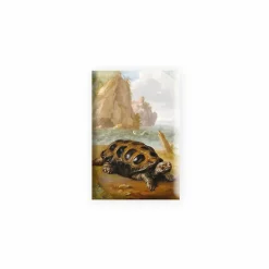 Magnets<Boutiques de musées Magnet Nicasius Bernaerts - Tortue