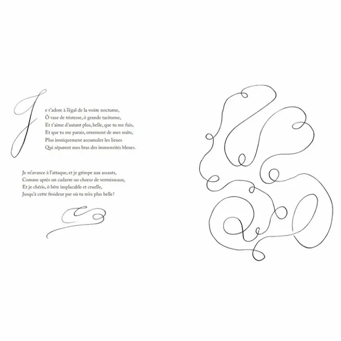 Boutiques de musées Matisse / Baudelaire Les Fleurs du mal Best