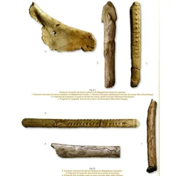 Catalogues D'Exposition<Boutiques de musées Mille et une femmes de la fin des temps glaciaires