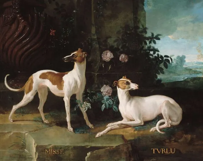 Boutiques de musées Misse et Turlu (toiles encadrées) Outlet