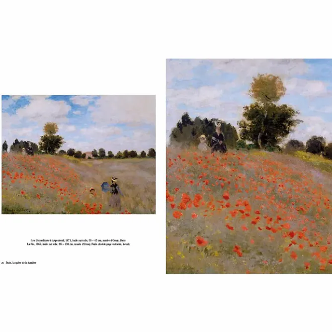 Boutiques de musées Monet. L'art plus grand Outlet