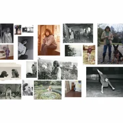 Boutiques de musées Monet Mitchell - Catalogue d'exposition Outlet
