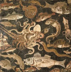 Panneaux Acryliques|Toiles Encadrées<Boutiques de musées Mosaïque représentant une bataille entre une pieuvre et un homard (détail), IIe siècle avant J.-C. (panneaux acryliques)