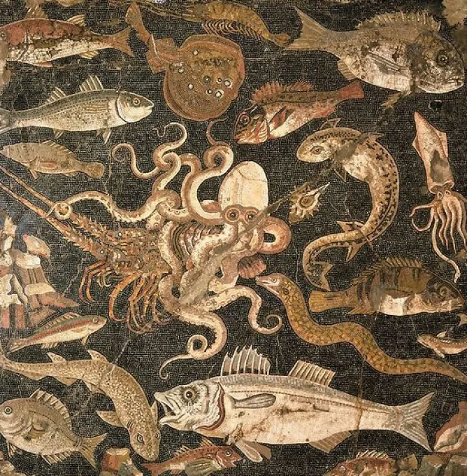 Boutiques de musées Mosaïque représentant une bataille entre une pieuvre et un homard (détail), IIe siècle avant J.-C. (panneaux aluminium) Discount