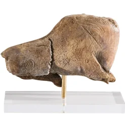 Boutiques de musées Moulage Bison se léchant Sale